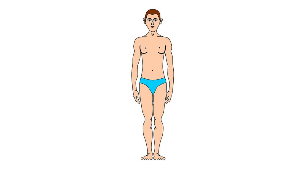 ectomorph body type