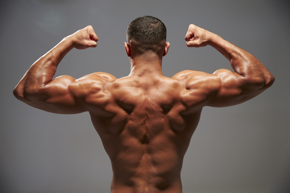 8-things-that-can-not-be-tolerated-during-the-back-muscles-training